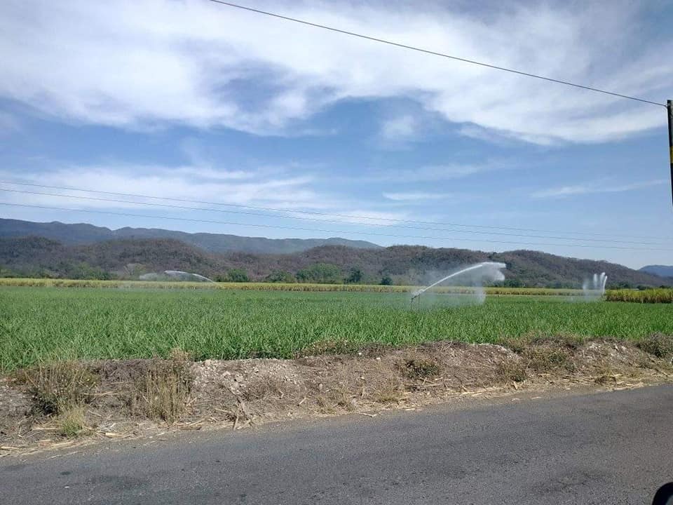 riegos agrícolas suspendidos