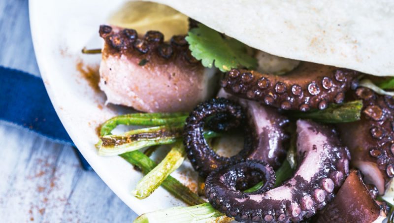 taco-pulpo