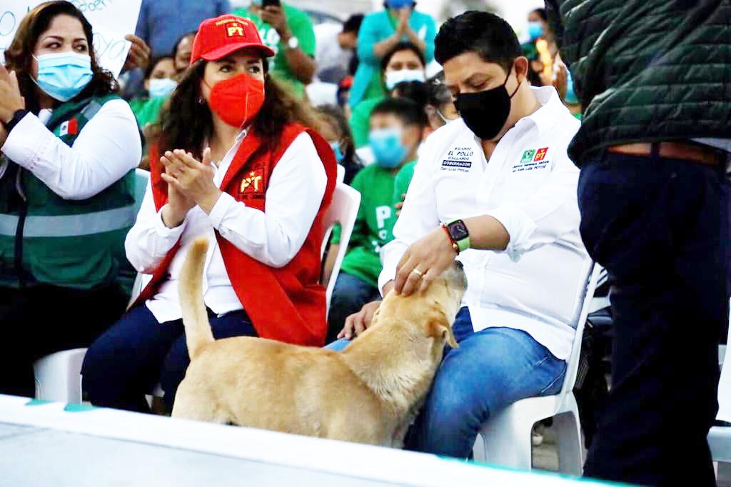 Anuncia Gallardo albergues y Ambudog para protección de mascotas – Código San  Luis – Periódico en línea