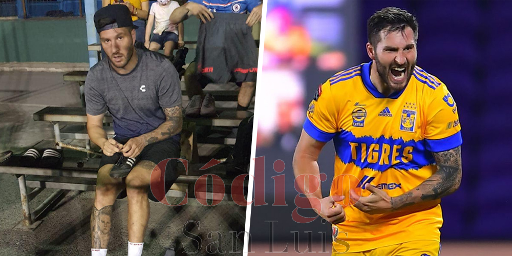 tigres-gignac