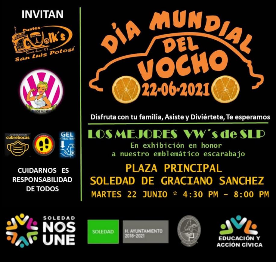 soledad-dia-del-vocho