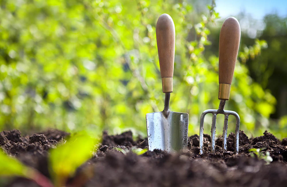 jardineria y agricultura