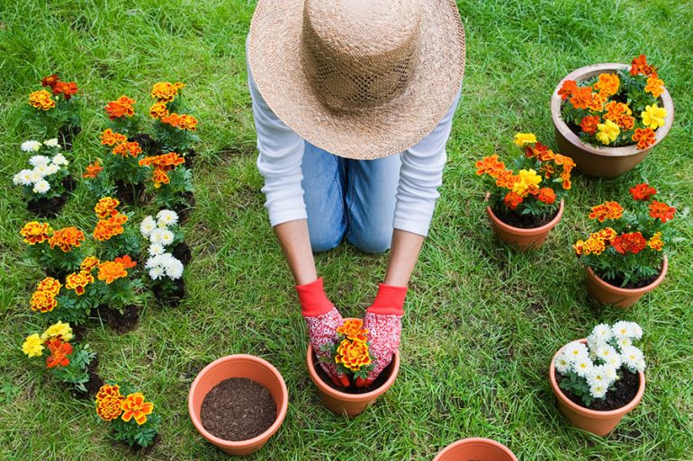 jardineria