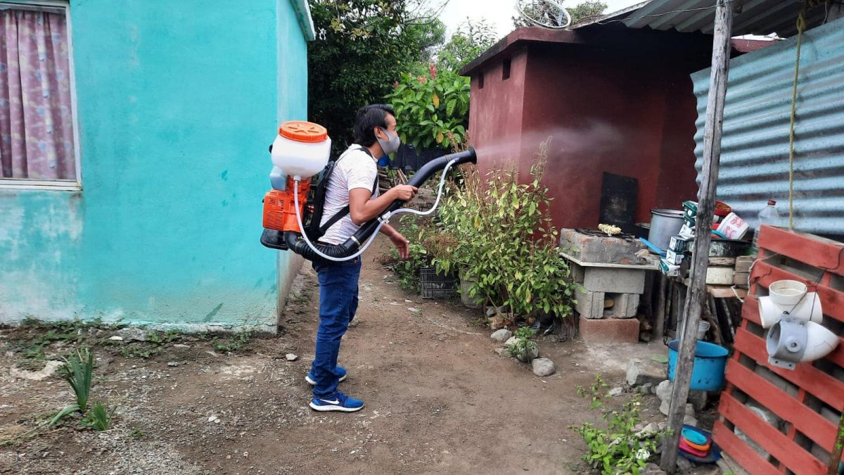 maestros fumigan colonias en Valles