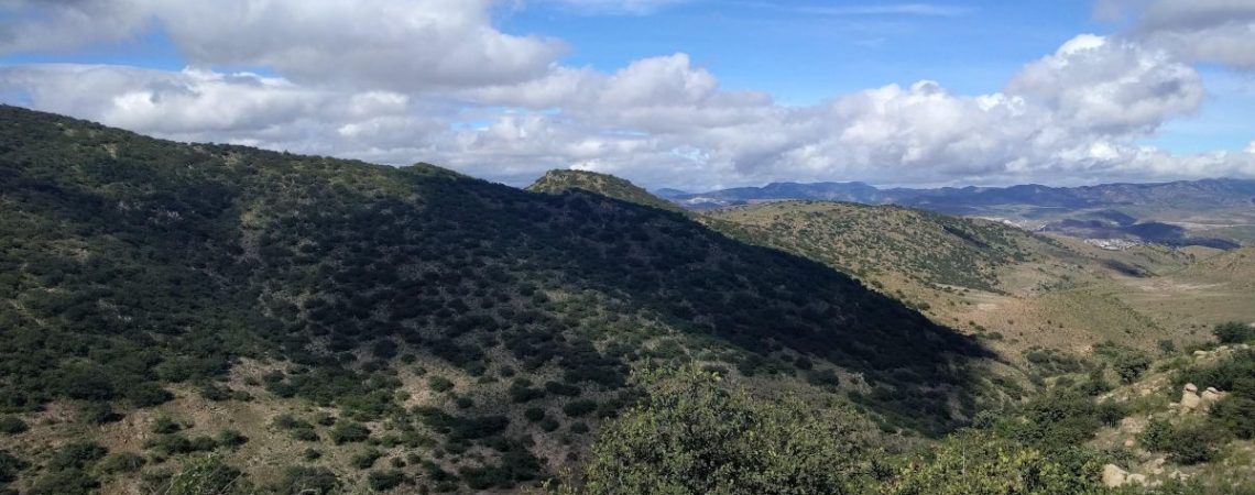 Parque Nacional Gogorrón