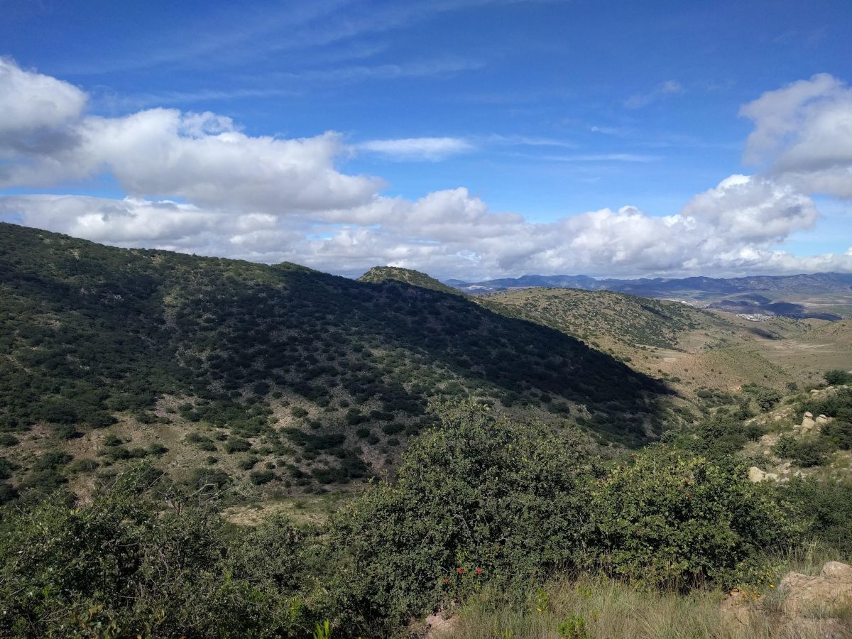 Parque Nacional Gogorrón