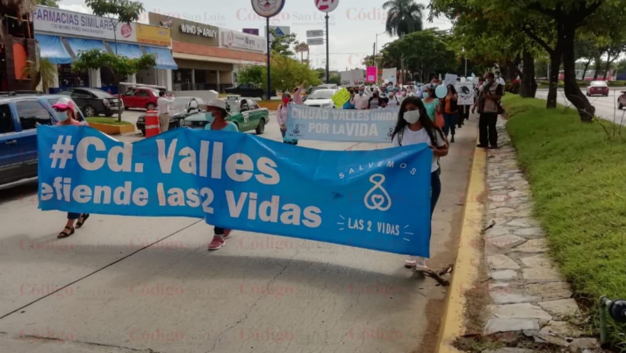 Marcha defensa de la Vida