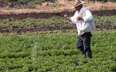 Porblematica-producción-agropecuario-