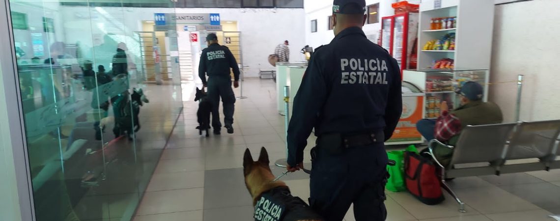 seguridad-central-autobuses