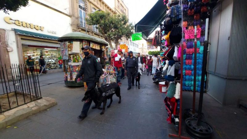 perros policías