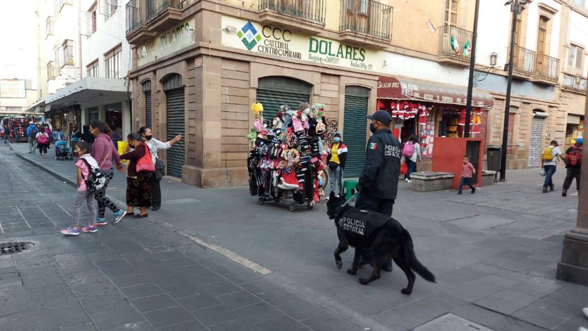 perros policías