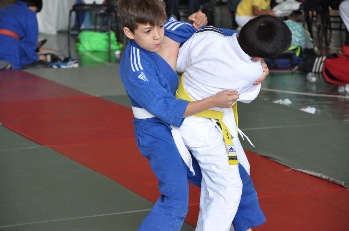 judo