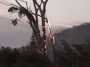 incendio-forestal-valles