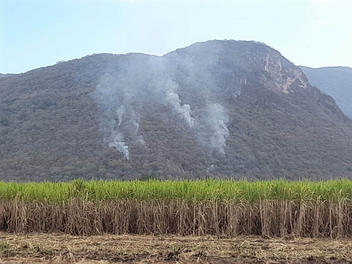 incendio-forestal-valles