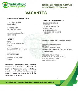 empleo-ciudad-valles