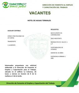 empleo-ciudad-valles