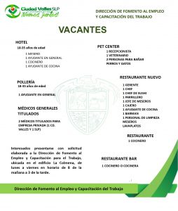 empleo-ciudad-valles