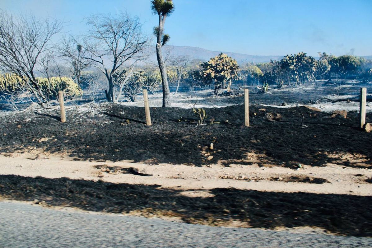 incendio-villa-de-reyes