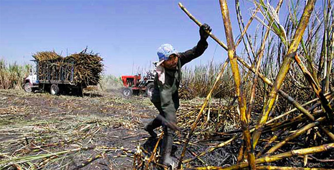 jornaleros-agrícolas- derechos-laborales