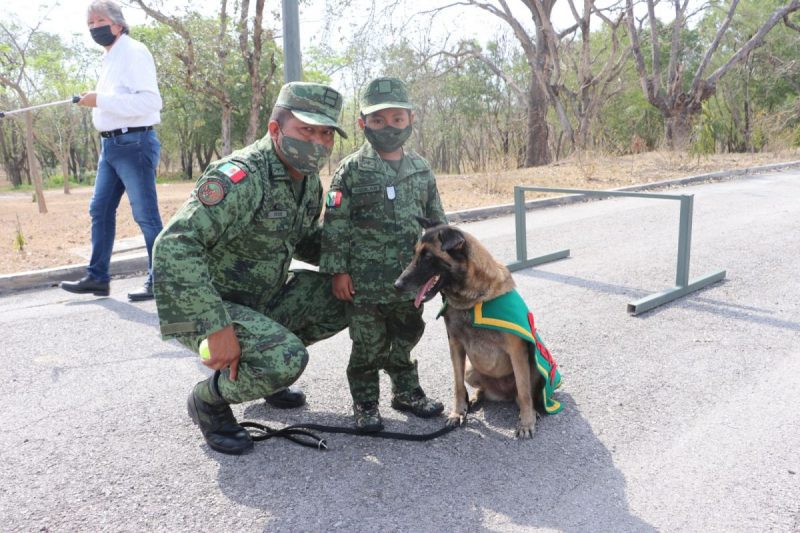 soldado-honorario-valles