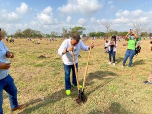 reforestación-masiva-valles