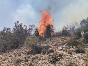 incendio charcas