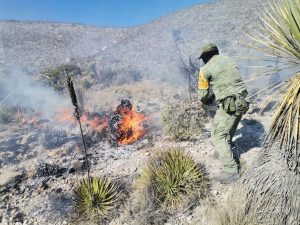 incendio charcas