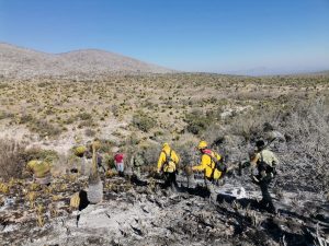 incendio charcas