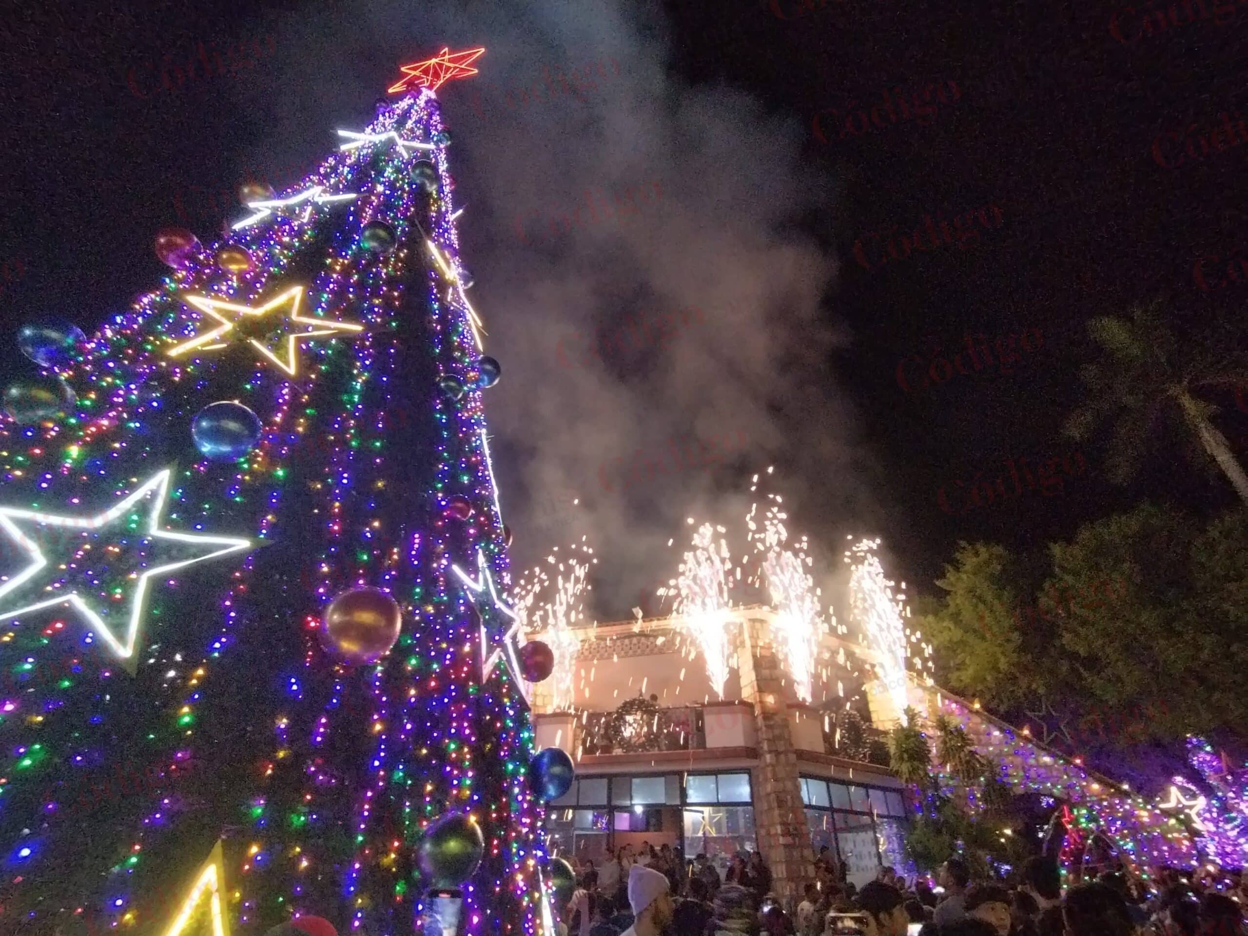 Pino Navideño David Medina Ciudad Valles