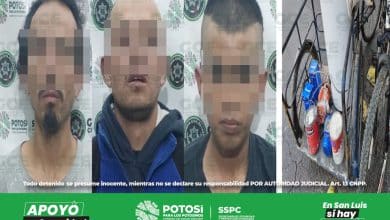 desarticulan banda de ladrones