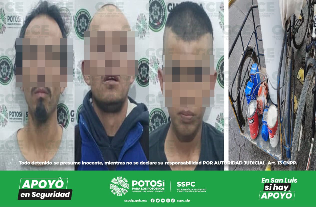 desarticulan banda de ladrones