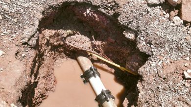 Raíces revientan ducto de agua potable y provocan fuga en Alamitos; ya fue reparada por Interapas