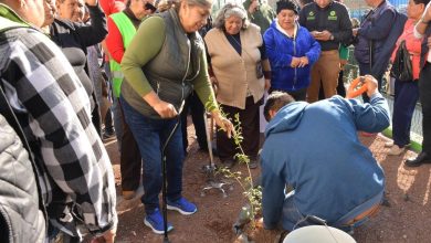 Semana verde en tu colonia