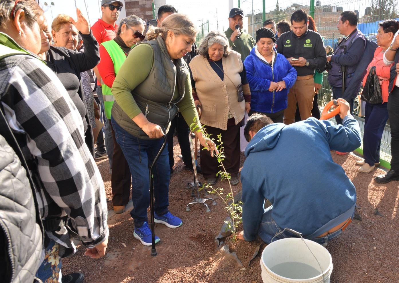 Semana verde en tu colonia