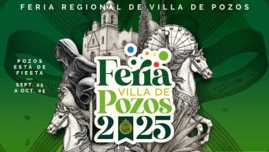 feria regional de villa de pozos ferepo