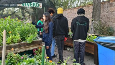 Gobierno brindará visitas guiadas en Casa Colorado, actividades ambientalistas y charlas para todas las familias potosinas