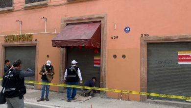 artículos chinos gobierno municipal slp comercio