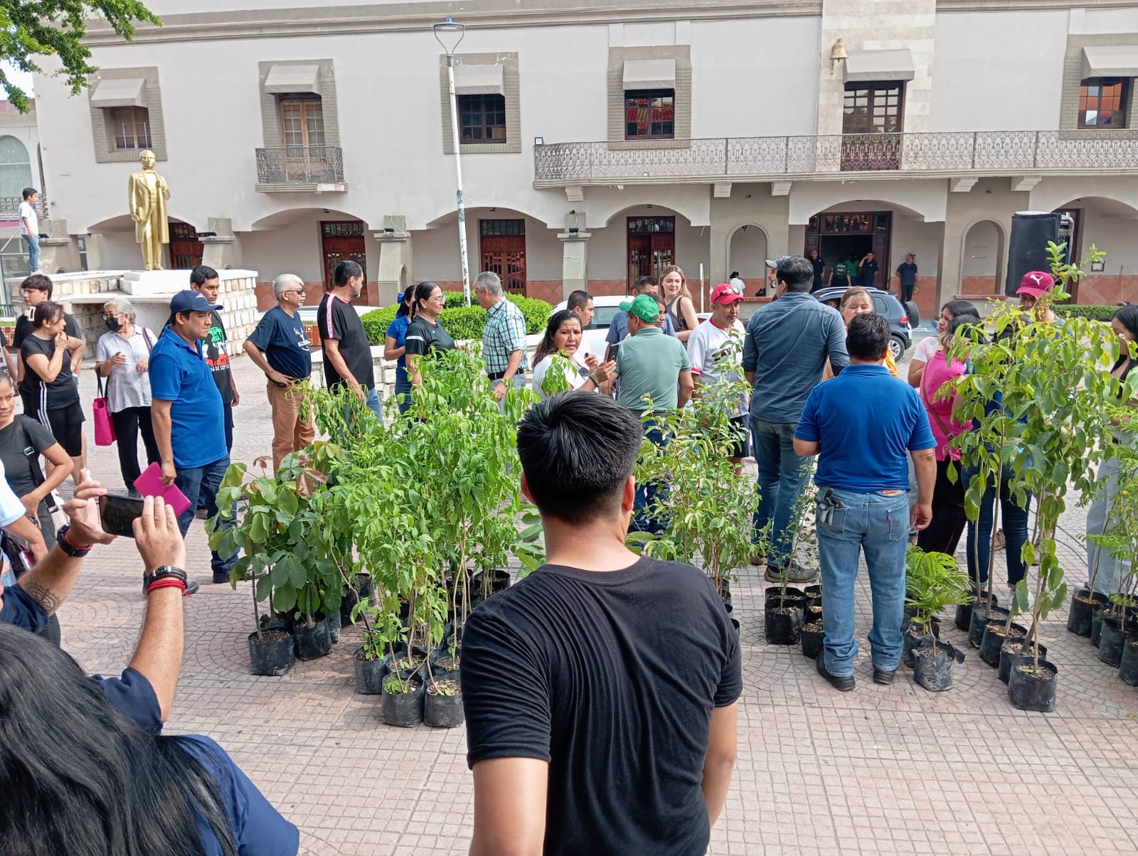 Adopta un árbol Valles