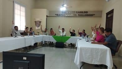 Apoyos asociaciones civiles