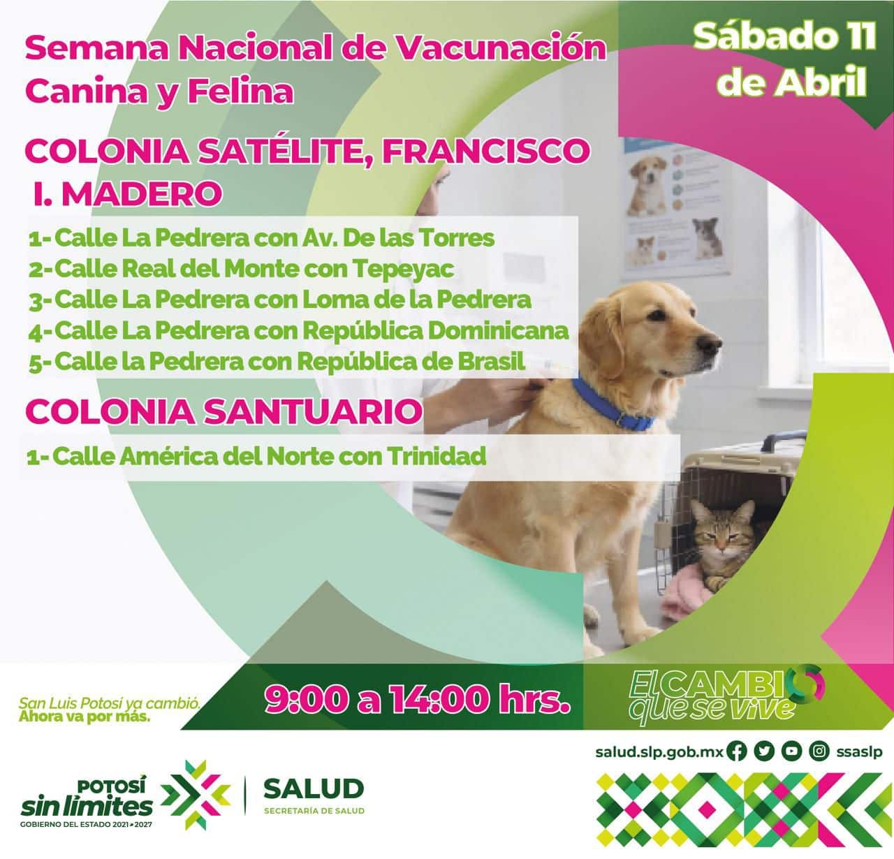 vacunación antirrábica servicios de salud