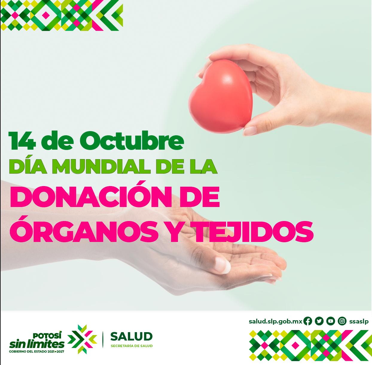 salud donación órganos