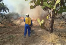 bocas incendio gobierno municipal slp