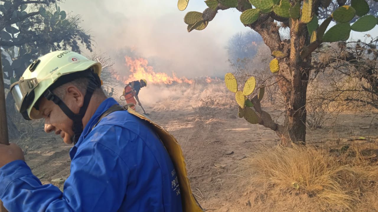 bocas incendio gobierno municipal slp
