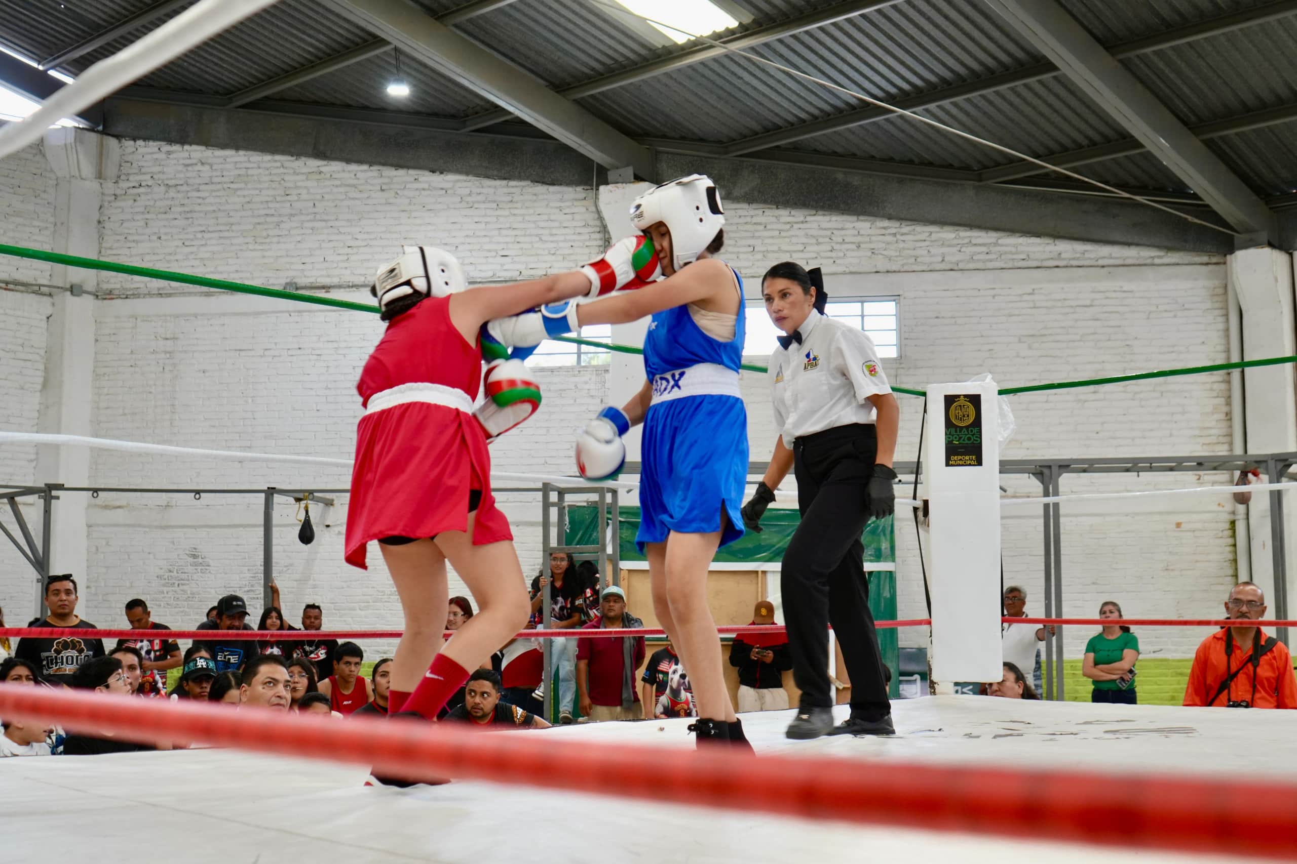boxeo olímpico villa de pozos