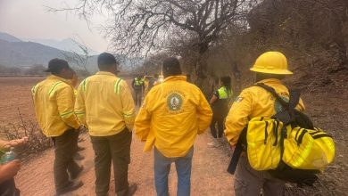 Brigada forestal Ciudad Valles