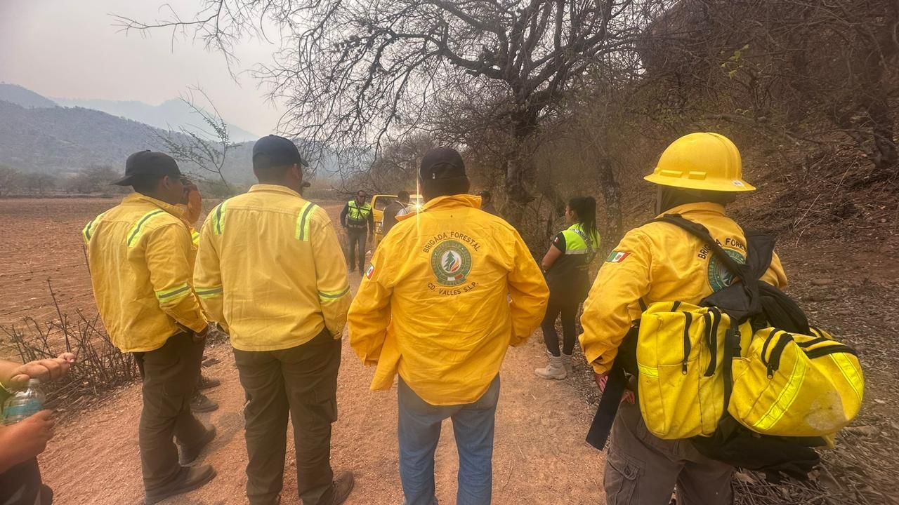 Brigada forestal Ciudad Valles