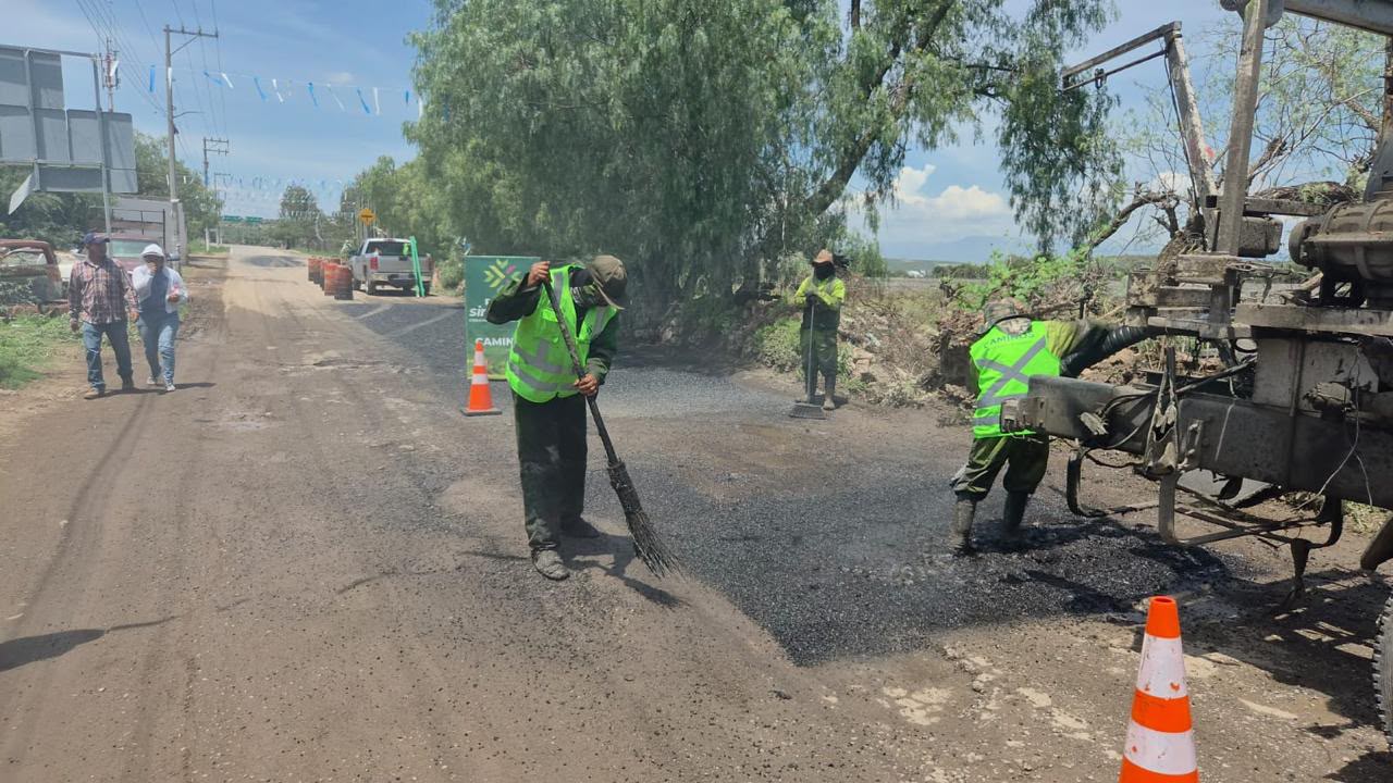 camino armadillo gobierno del estado
