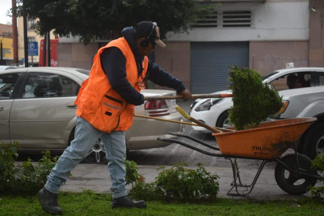 capital al 100 gobierno municipal slp