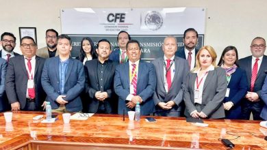 CFE GOBIERNO DEL ESTADO