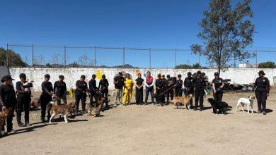 CIBA Gobierno Municipal slp